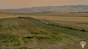 Azienda agricola biologica a Matera