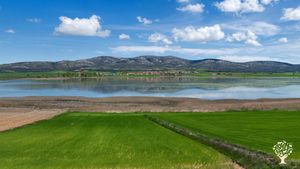Small organic family goat farm