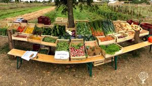 Ferme en maraichage bio et en agroforesterie