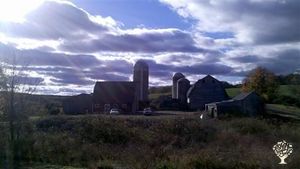 An organic farm in Bethlehem, CT that engages in deep organic and permaculture practices