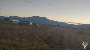 morning at living earth garden project