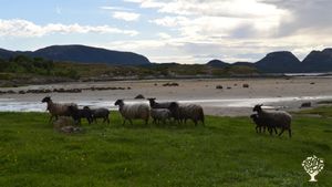 Family farm