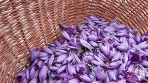 Azienda agricola in Alta Valmarecchia