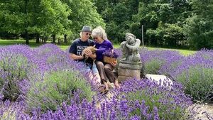 Lavender farm 💜 in semi-rural area of NJ, 1 hour from NYC