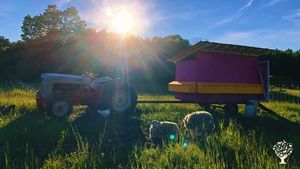 Unique learning experience in farming and wine-making in beautiful, historic Leelanau County, MI