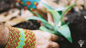 A nature-based space founded on sustainable and regenerative principles.