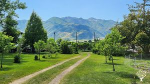 A cooperative ecological agriculture project using native wisdom and regenerative principals. CSA.