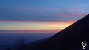 Coltivazione di frutti di bosco, bioedilizia, vita di montagna