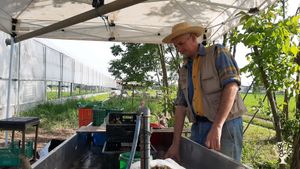 Antonio in Zona lavaggio verdure appena raccolte, di fianco ad una delle due serre.