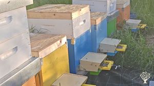 Bee farm  with big green house and reforestation plans