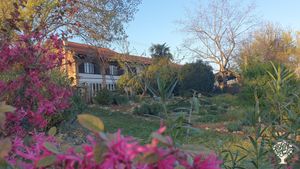 La Neira is a small family farm, a quiet country estate far away from the hustle and bustle.