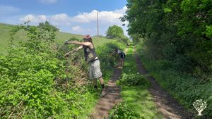 Small Agroecological Farm - Scythes, Micro Dairy, Pigs and Vegetable Growing
