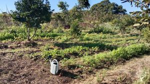 Ferme en maraîchage bio et diversifié