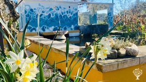 We have our own water well! Fresh beautiful water from our own source! 