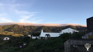 Family home and garden - rural