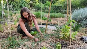 Bioland Gemüsegärtnerei in Norddeutschland