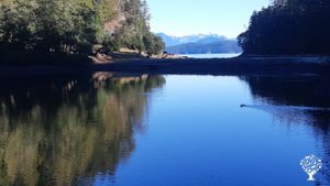 tidal swimming pool..