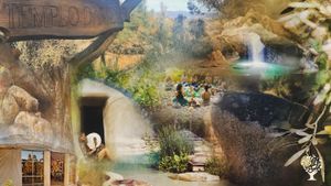 Rewilding ~ Remembering ~ Regenerating our Sanctuaries of Sovereignty
