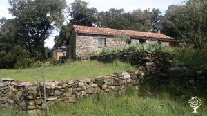 Autonomie et arboriculture