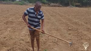 Preparing the land for plantation using Jembe - local name meaning hand hoe