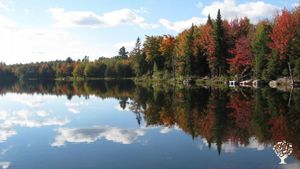 Groupe de vie communautaire, Maison familiale et jardin - rural, Bois, Remote study opportunities