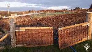 Market Garden & Willow Basketry on the Isle of Mull