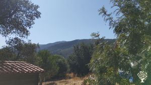 Organic farm in the Monchique mountains