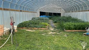 A diverse family farm comprised of three branches: equestrian, FOOD, and human ecology