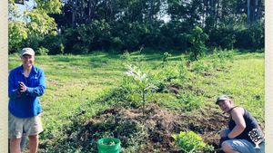 Ongoing Need: Smallholding, Orchard, Regenerative, Permaculture, 99% vegetarian