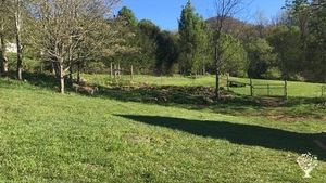 Diversified production farm located within the Pisgah National Forest, 45 min from Ashville NC