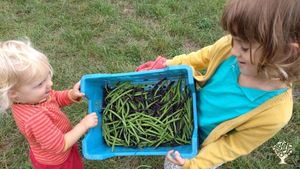 Flower Garden Farm, Farm, Family farm, Community farm