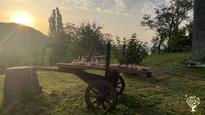 Organic Vegetable farm using permaculture and regenerative agriculture principles