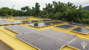 Its a Coliving. Based in biology, we do aquaponics and environmental education in Tayrona