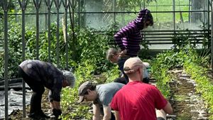 Market garden, flower grower, orchard, farm