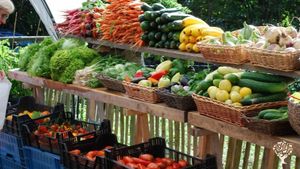 Ferme familiale, production BIO de légumes et de plants à repiquer diversifiés.