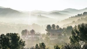 Communal Living Group, Educational Centre, Agritourism Destination, Intentional Community