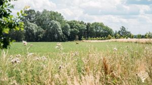 Ferme agroecologique - culture maraichage elevage Bio