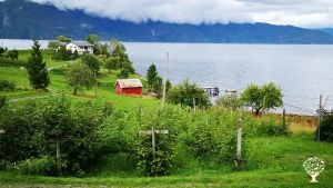 Orchard, Family farm