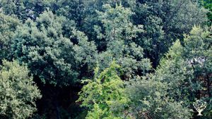 Agritourism Destination