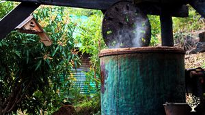 Distillerie artisanale d'huiles essentielles  ⚗️🇷🇪