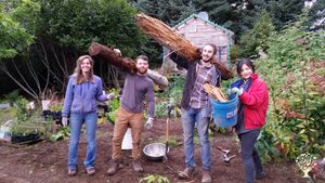 Experience life on a small plant nursery & grow vegetables in beautiful Seldovia, Alaska