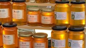 Apiculture et transformation du miel
