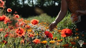 Tisanerie, production de plantes aromatiques et de fleurs comestibles