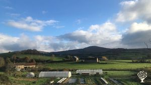 Micro-ferme en maraichage bio diversifié et activité de naturopathie