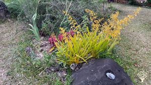 Verger biologique et potager partagé