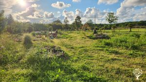 Ferme associative en maraichage sur sol vivant en bio