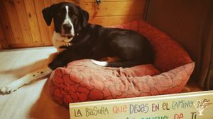 Esplotación agroecológica, en plena neturaleza a 10 minutos de Bilbao