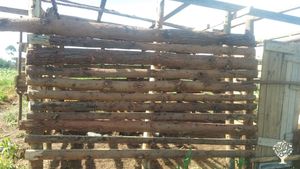 Our farm locate in Mafinga,  though is new farm but we started with planting avocado, vegetable and