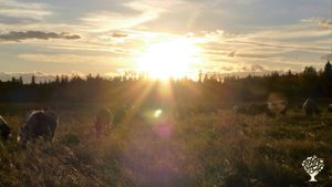 Educational Centre, Horse Ranch, Family farm, Diversified farm, Internship opportunities