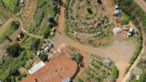 A farm with big fruit and veggie garden, some animals, almost off grid. We host guests and events.